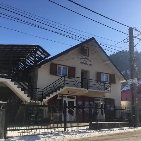 Pensiunea Morosanu Borşa Exterior foto