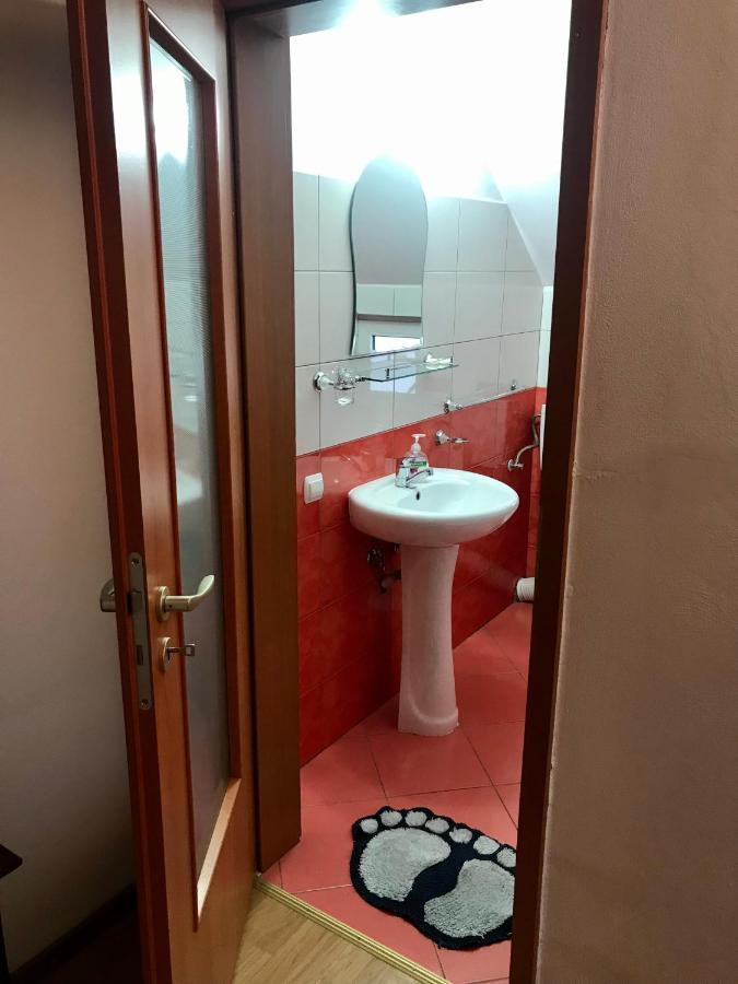 Pensiunea Morosanu Borşa Exterior foto