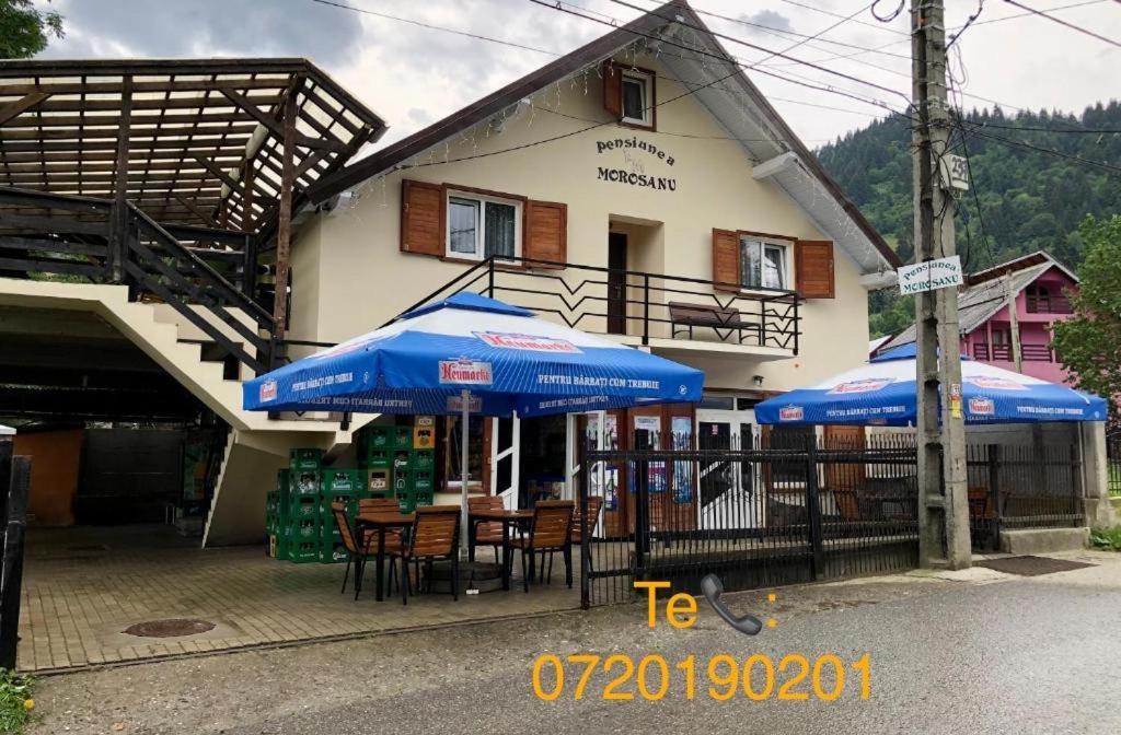 Pensiunea Morosanu Borşa Exterior foto